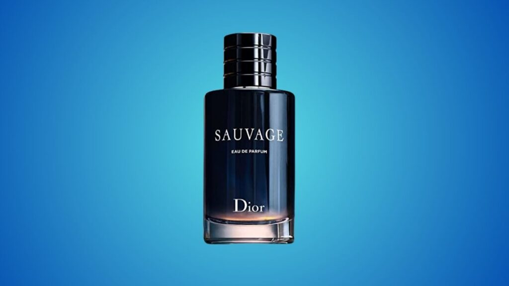 10 Melhores Perfumes Dior Masculinos: Descubra as Fragrâncias Inesquecíveis do Dior Homme 1 Melhores Perfumes Dior Masculinos